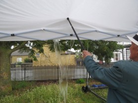 Community on the Green 20150729 16 (Medium)